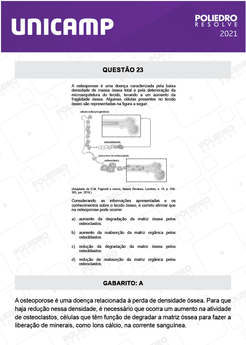 Questão 23 - 1ª Fase - 2º Dia - Q e Z - UNICAMP 2021