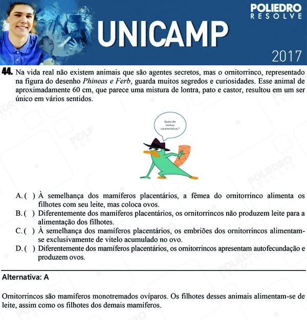 Questão 44 - 1ª Fase - UNICAMP 2017