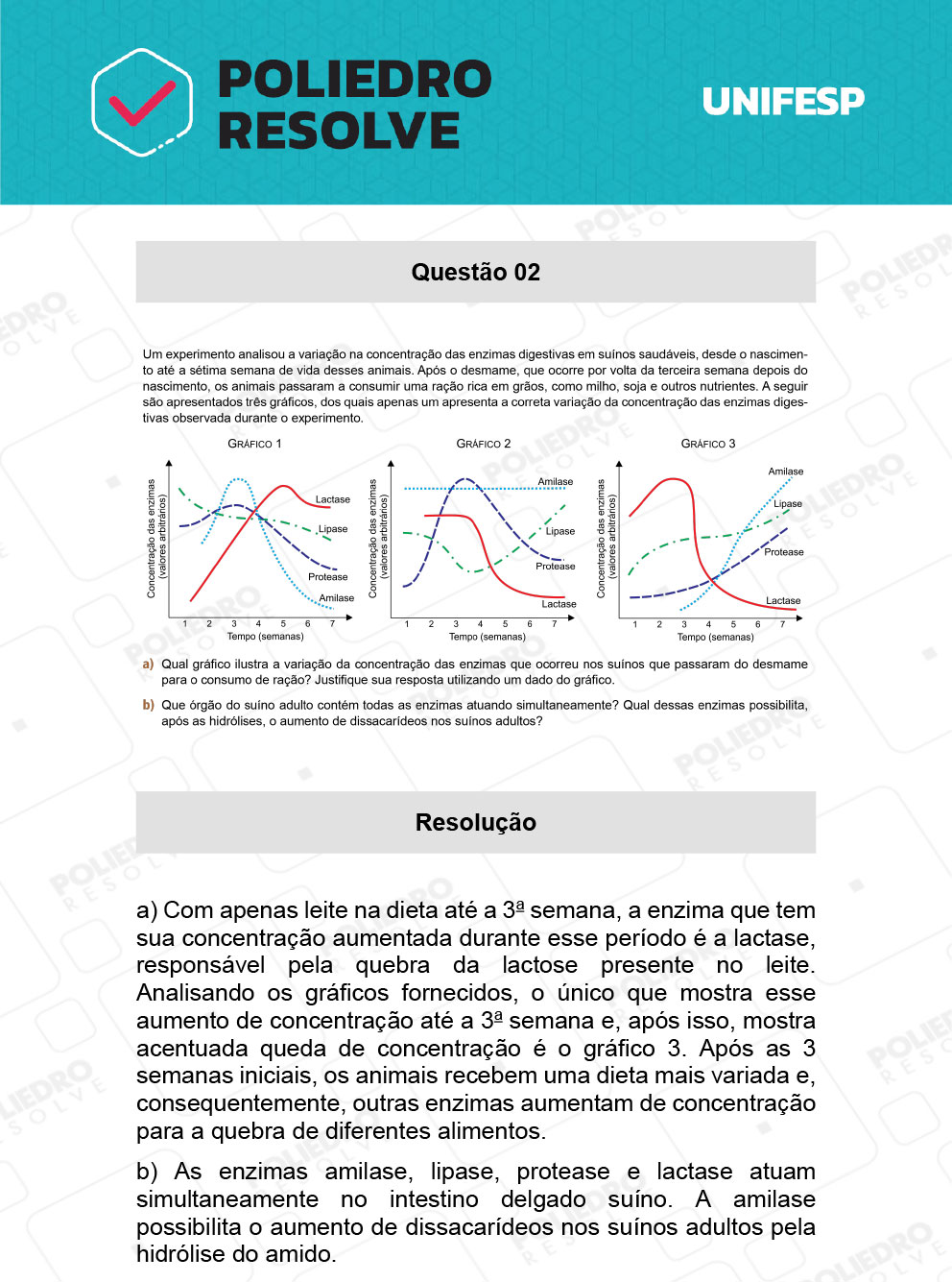 Dissertação 1 - Fase única - 2º Dia - UNIFESP 2021