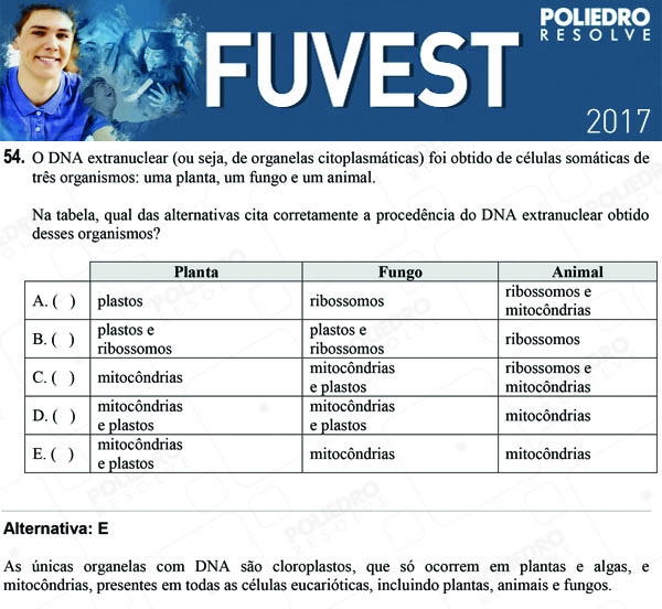 Questão 54 - 1ª Fase - FUVEST 2017