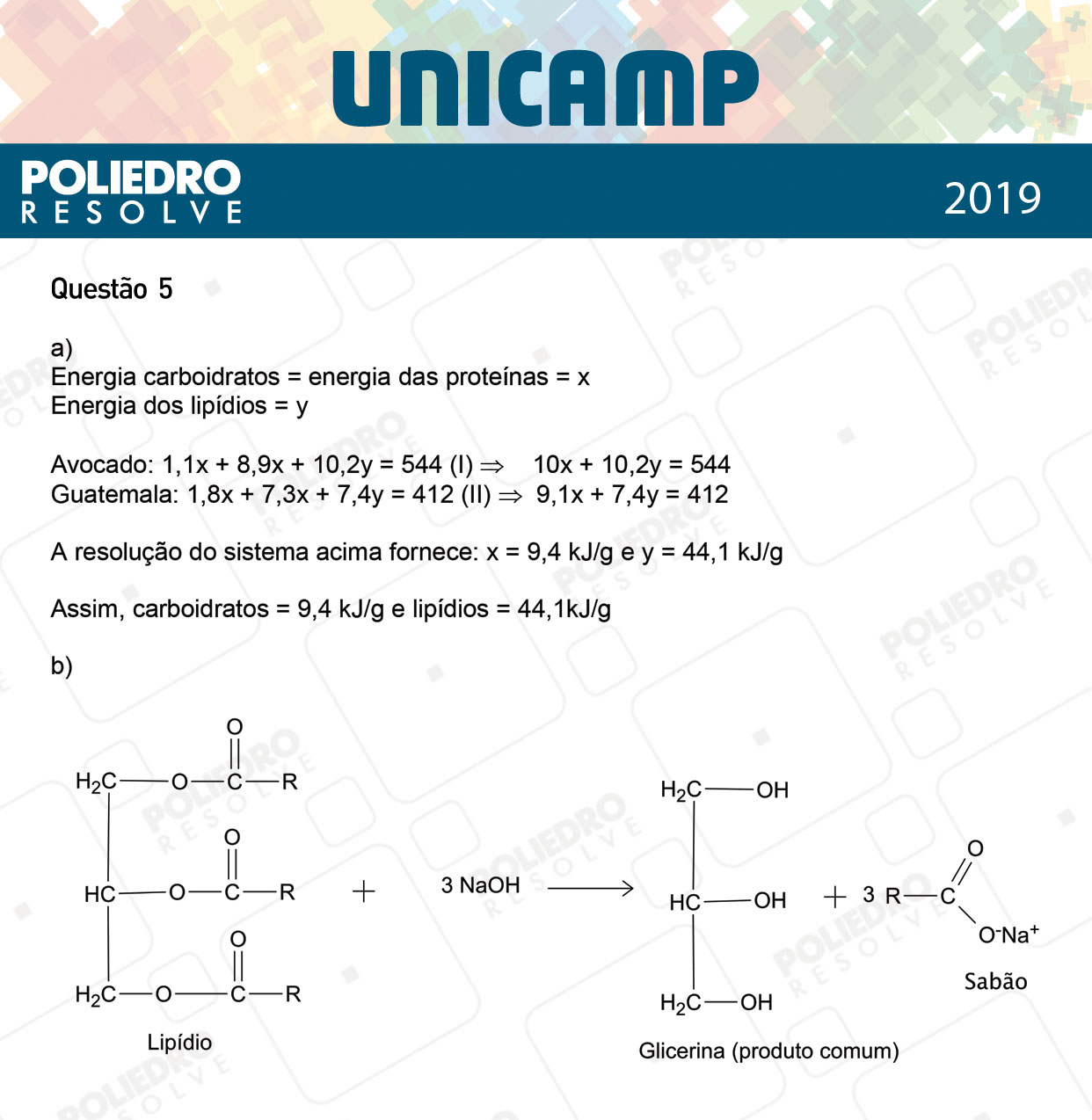 Dissertação 5 - 2ª Fase - 3º Dia - UNICAMP 2019