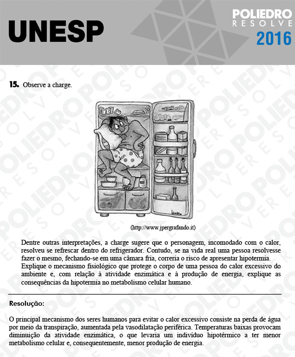 Dissertação 15 - 2ª Fase - UNESP 2016