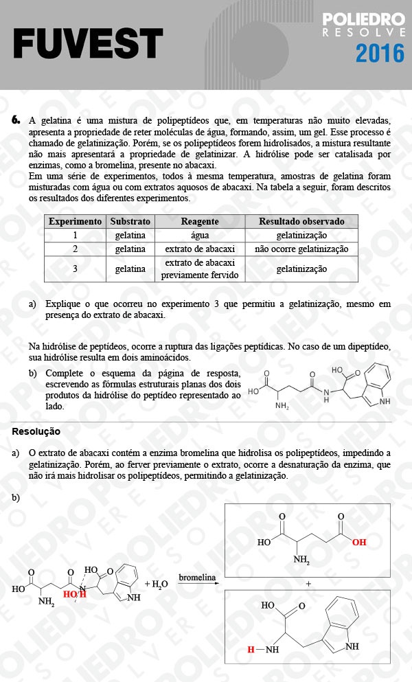 Dissertação 6 - 2ª Fase - 3º Dia - FUVEST 2016