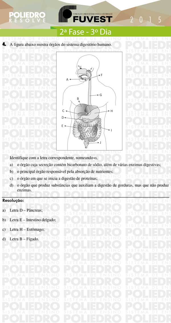 Dissertação 4 - 2ª Fase 3º Dia - FUVEST 2015