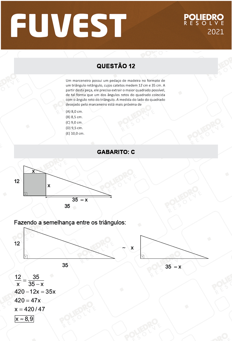 Questão 12 - 1ª Fase - FUVEST 2021