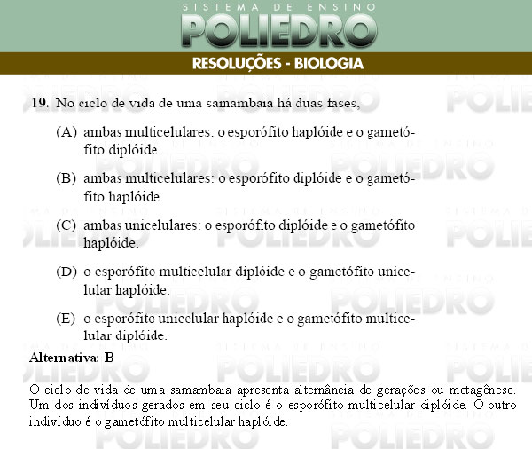 Questão 19 - Conhecimentos Gerais - UNIFESP 2009