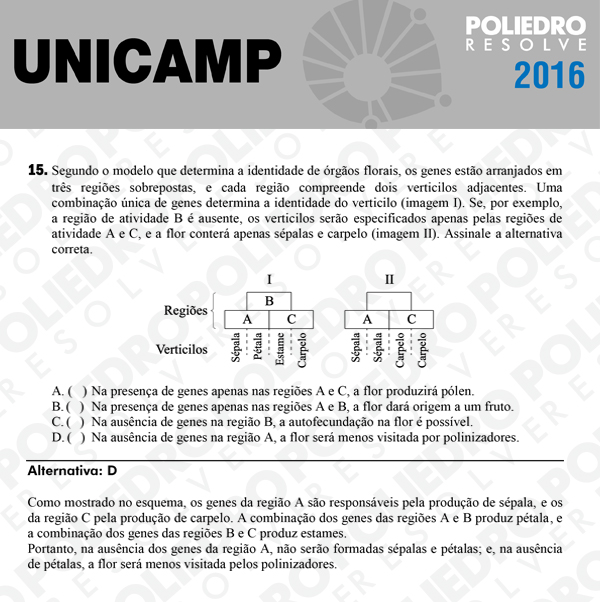 Questão 15 - 1ª Fase - UNICAMP 2016