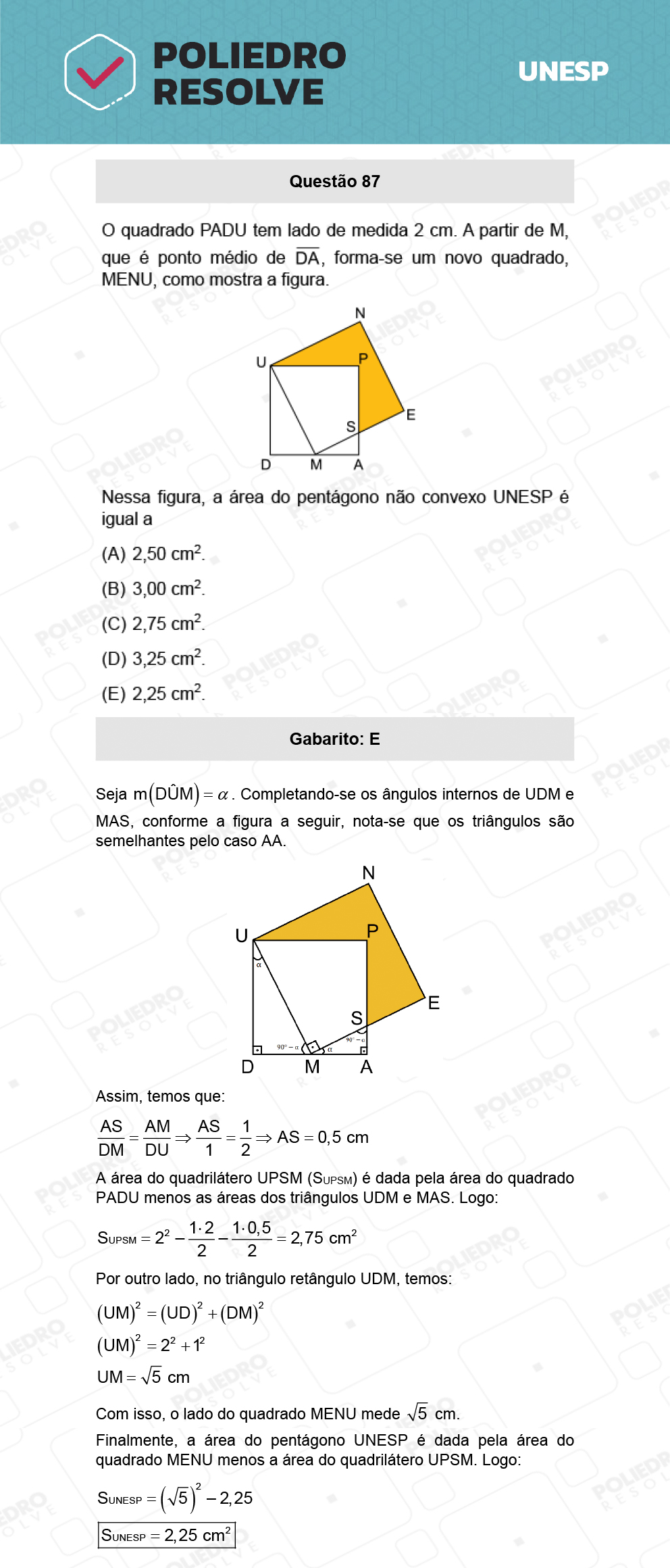 Questão 87 - 1ª Fase - Biológicas - UNESP 2022