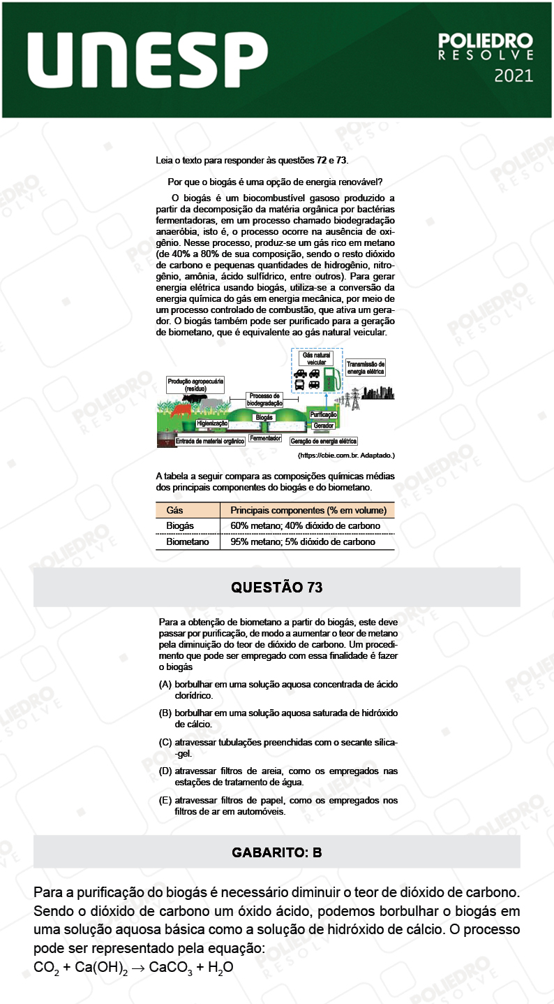 Questão 73 - 1ª Fase - 2º Dia - UNESP 2021