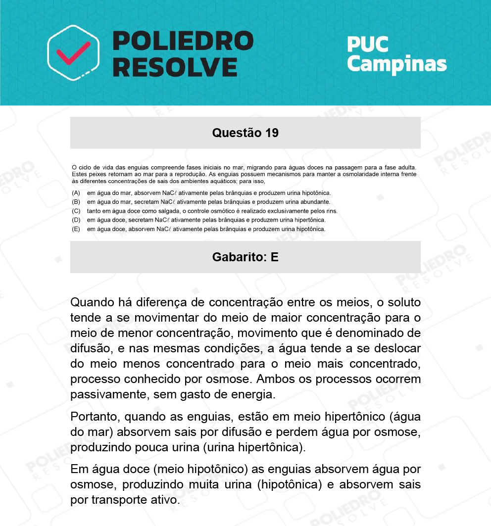 Questão 19 - Prova Geral e Medicina - PUC-Campinas 2022