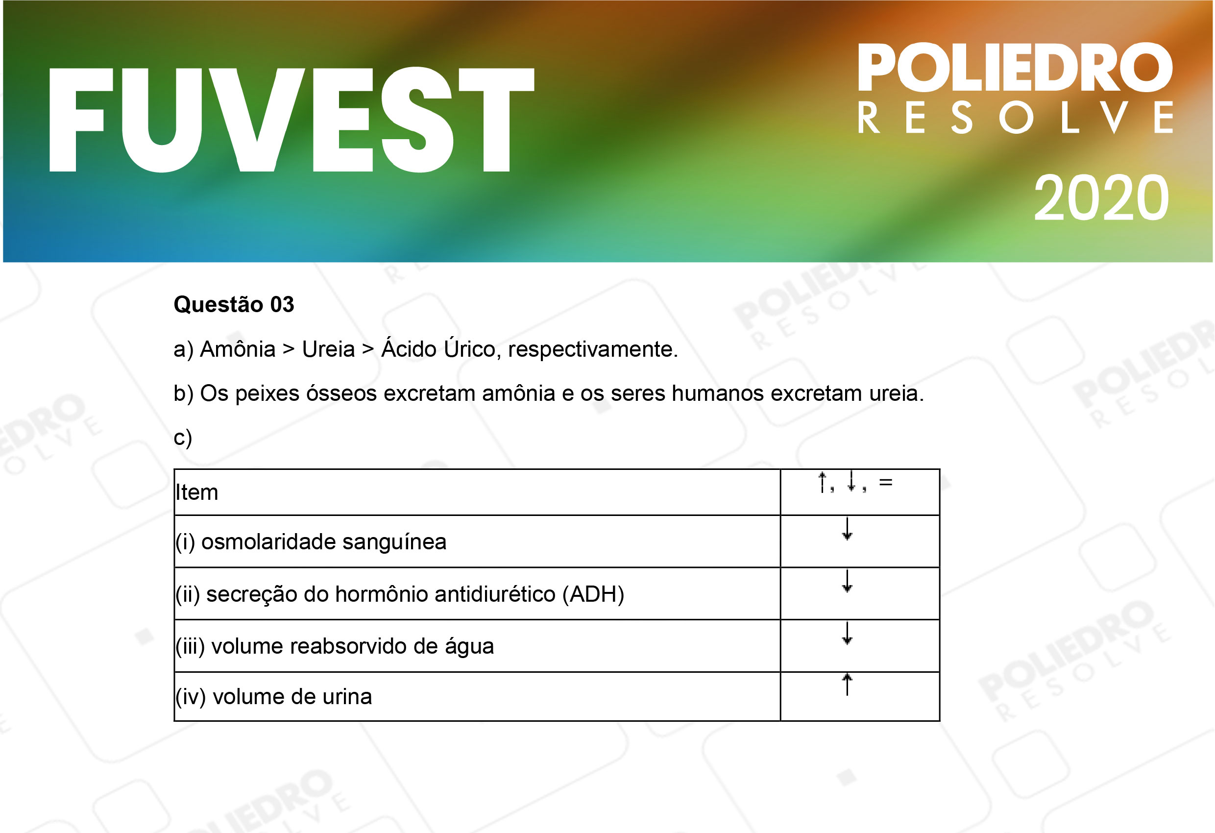 Dissertação 3 - 2ª Fase - 2º Dia - FUVEST 2020