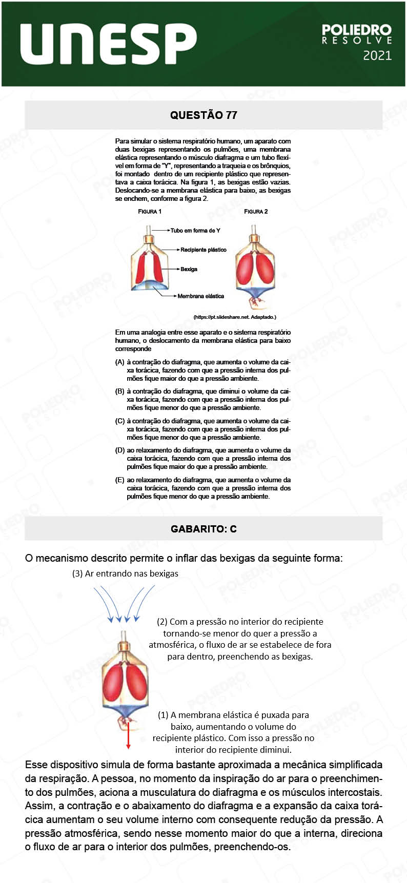 Questão 77 - 1ª Fase - 1º Dia - UNESP 2021