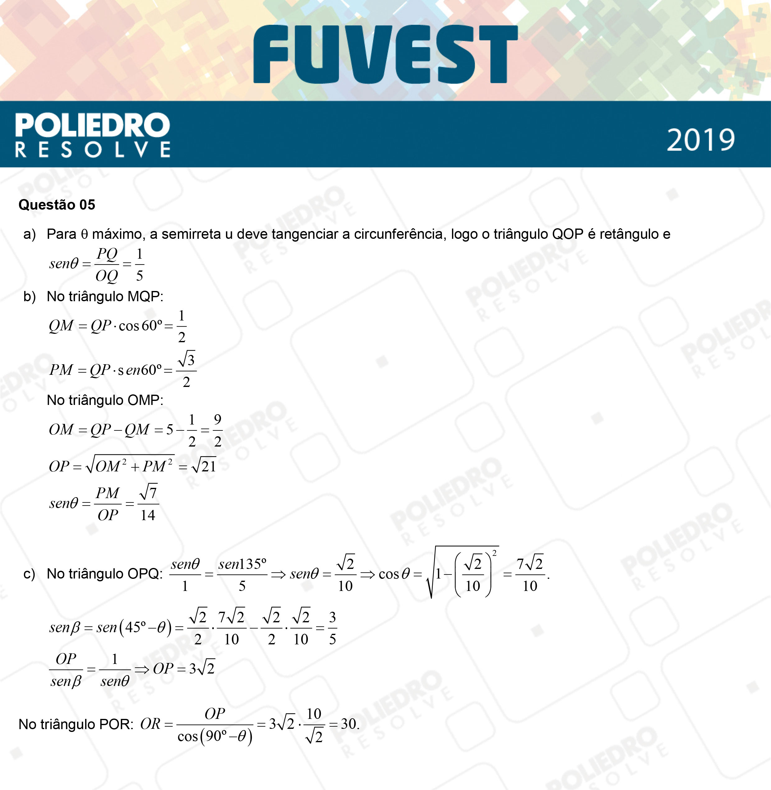 Dissertação 5 - 2ª Fase - 2º Dia - FUVEST 2019