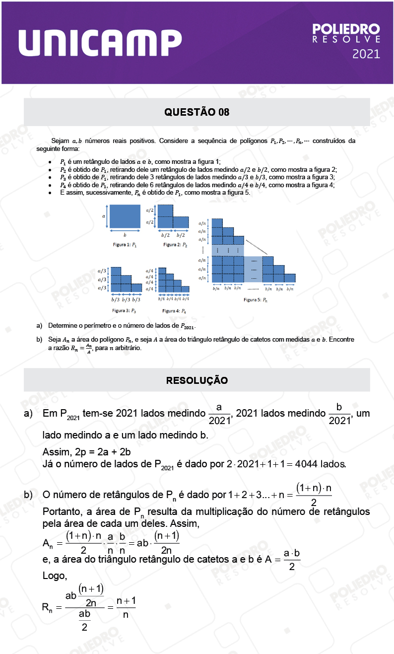 Dissertação 8 - 2ª Fase - 2º Dia - UNICAMP 2021