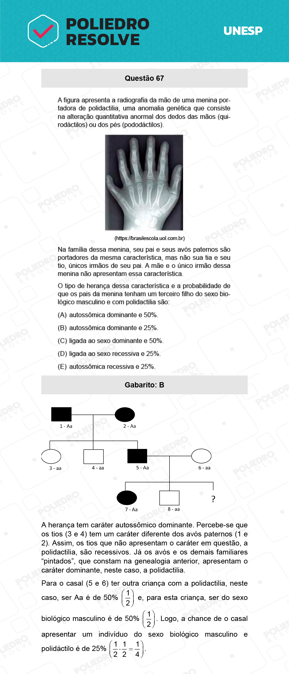 Questão 67 - 1ª Fase - Biológicas - UNESP 2022