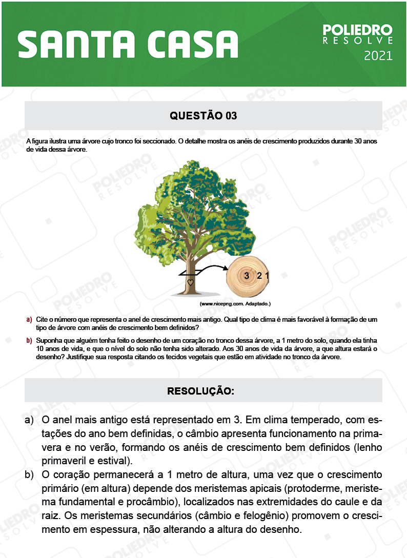 Dissertação 3 - 2º Dia - SANTA CASA 2021