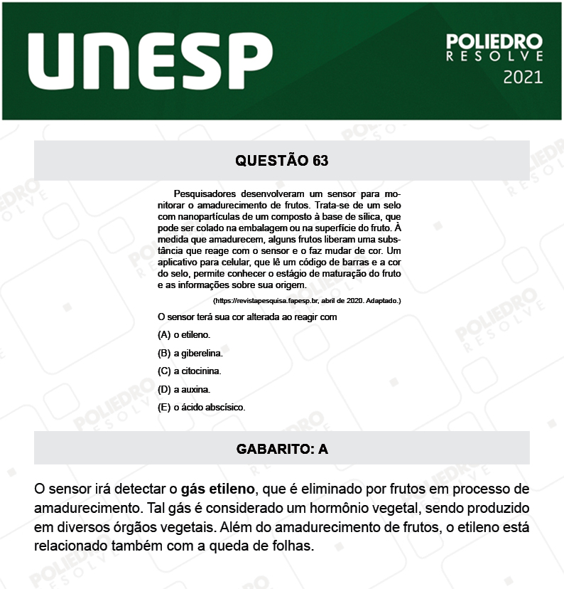 Questão 63 - 1ª Fase - 2º Dia - UNESP 2021