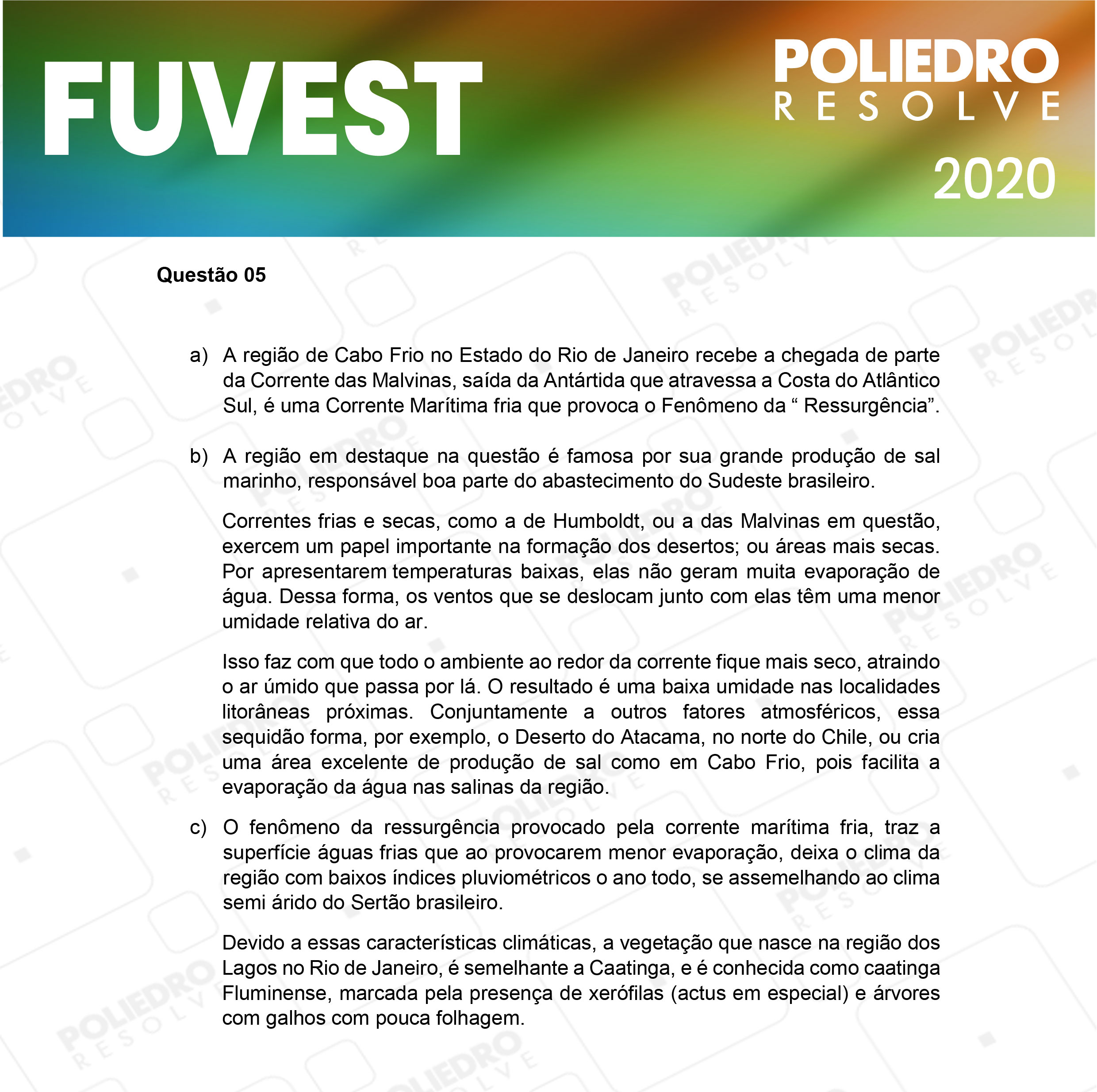 Dissertação 5 - 2ª Fase - 2º Dia - FUVEST 2020