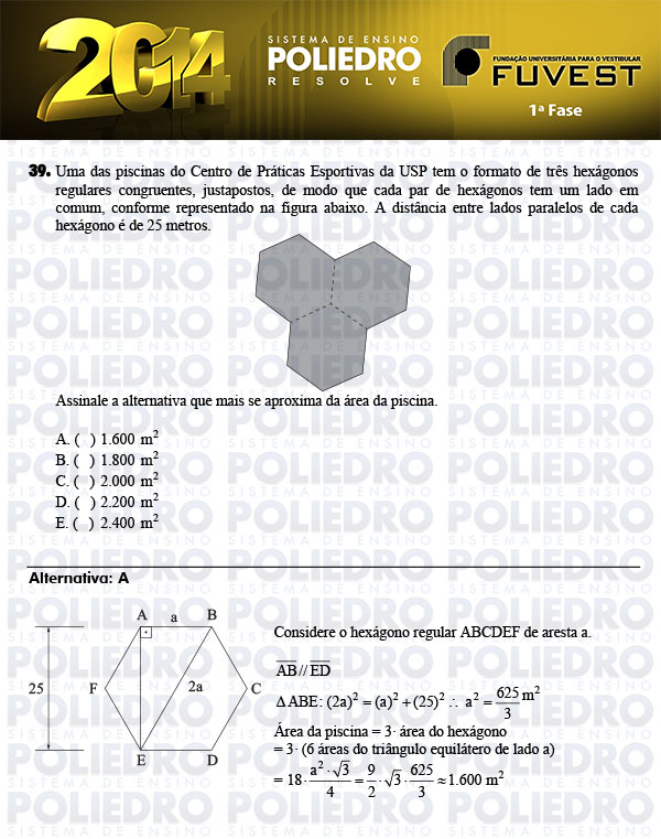 Questão 39 - 1ª Fase - FUVEST 2014