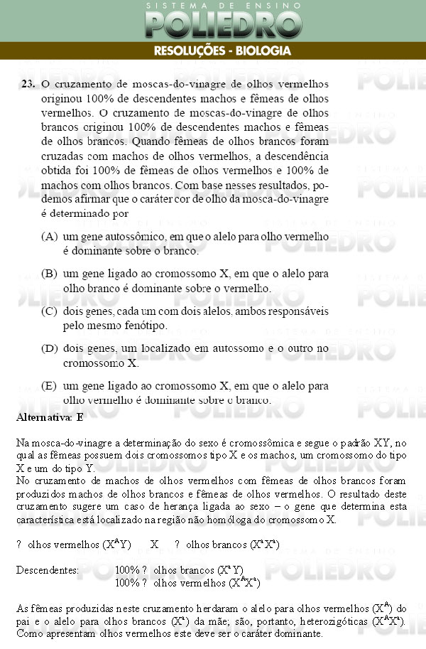 Questão 23 - Conhecimentos Gerais - UNIFESP 2009