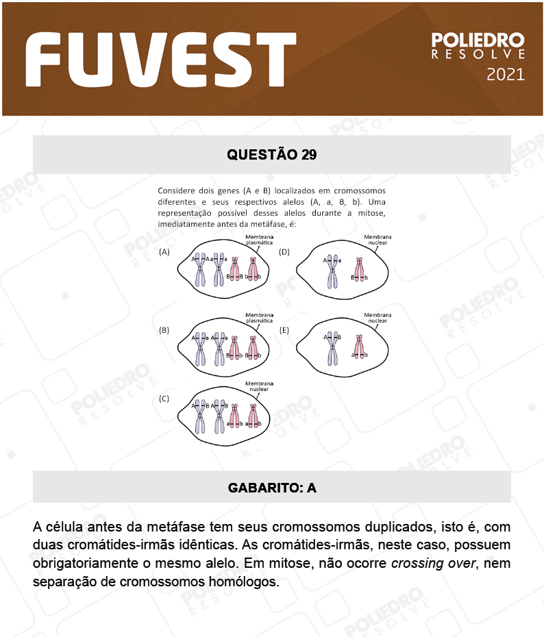 Questão 29 - 1ª Fase - FUVEST 2021