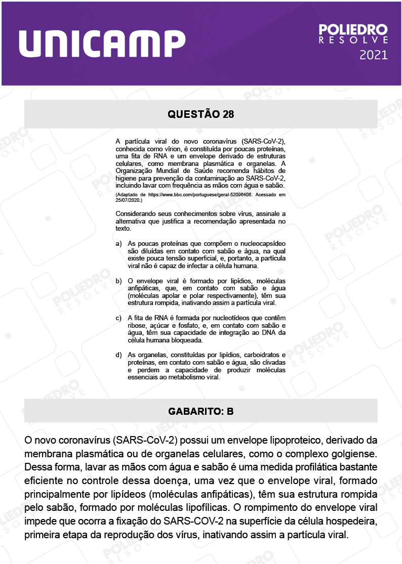 Questão 28 - 1ª Fase - 2º Dia - Q e Z - UNICAMP 2021