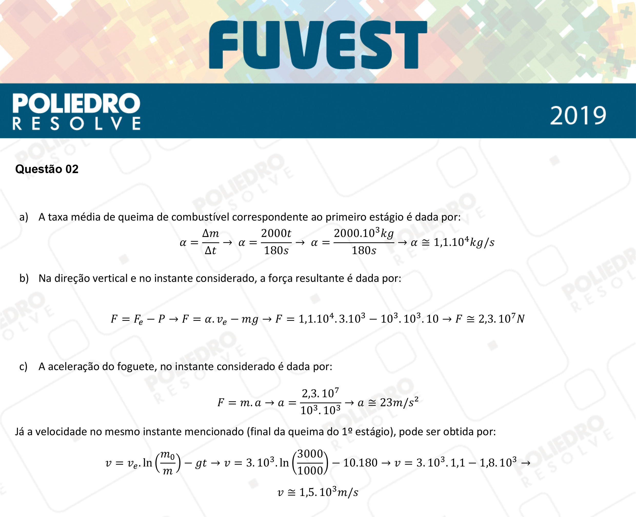 Dissertação 2 - 2ª Fase - 2º Dia - FUVEST 2019