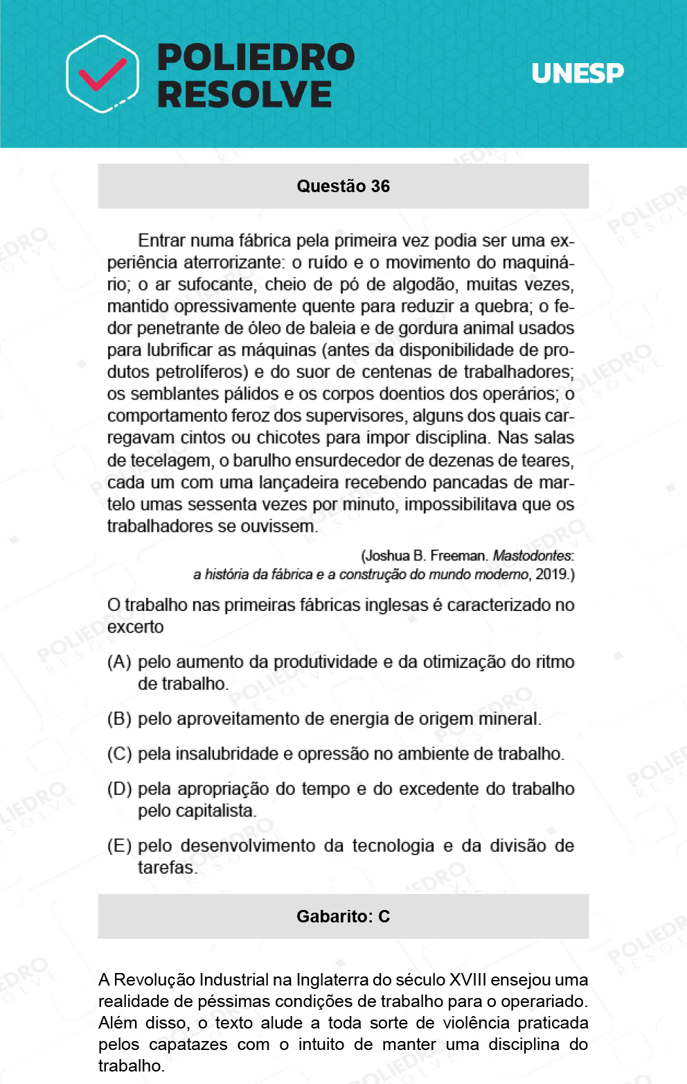 Questão 36 - 1ª Fase - Ext / Hum - UNESP 2022