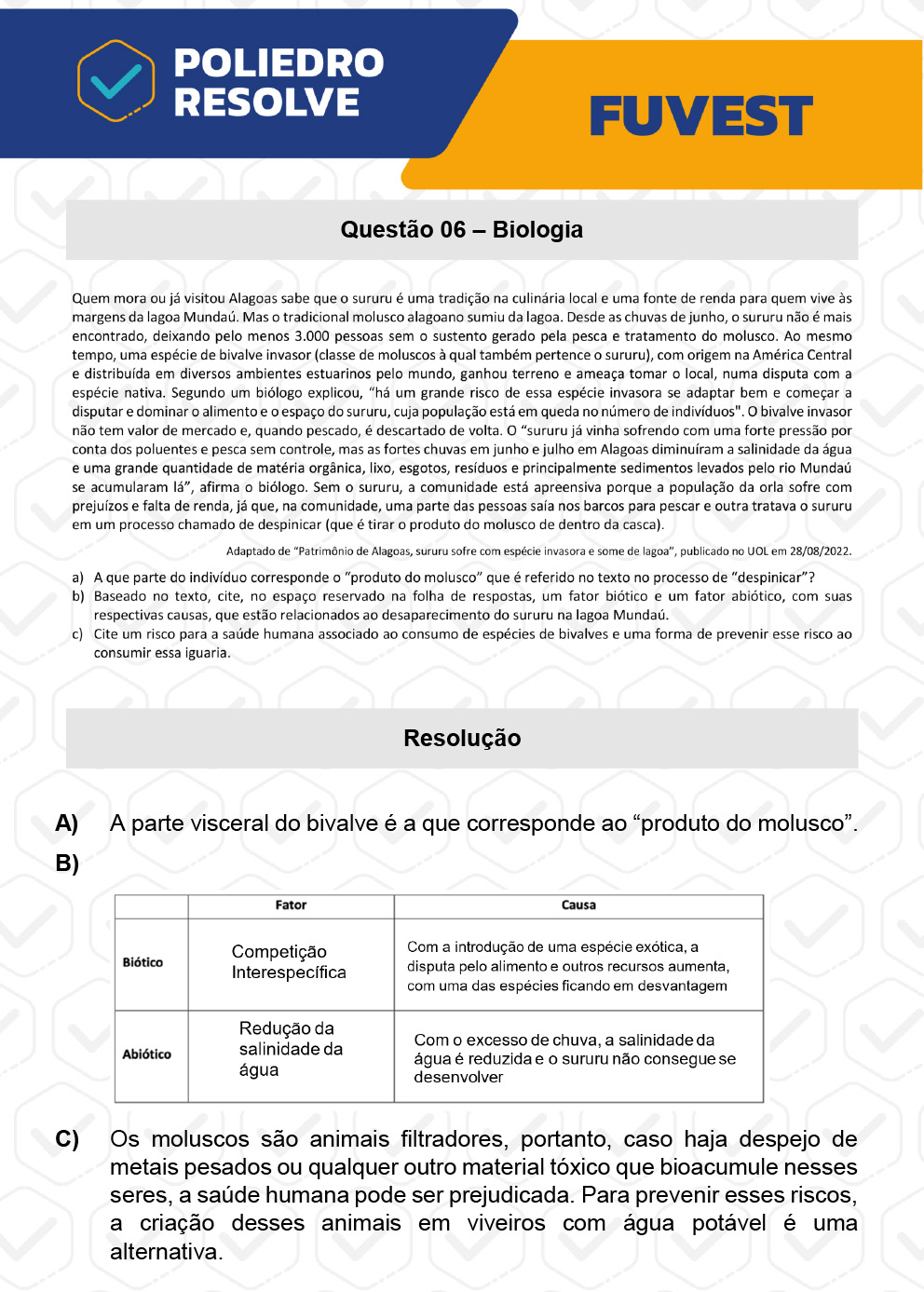 Dissertação 6 - 2ª Fase - 2º Dia - FUVEST 2023