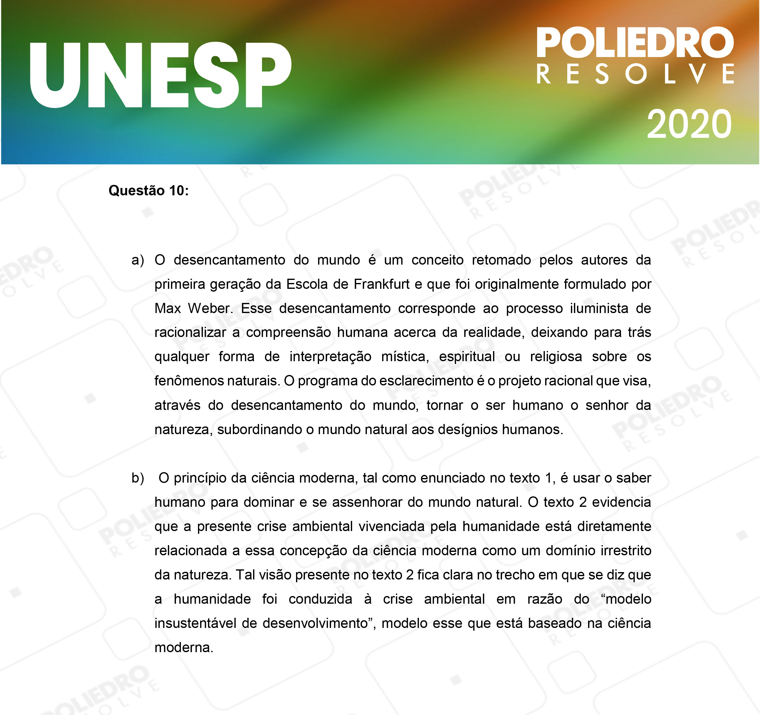 Dissertação 10 - 2ª Fase - 1º Dia - UNESP 2020