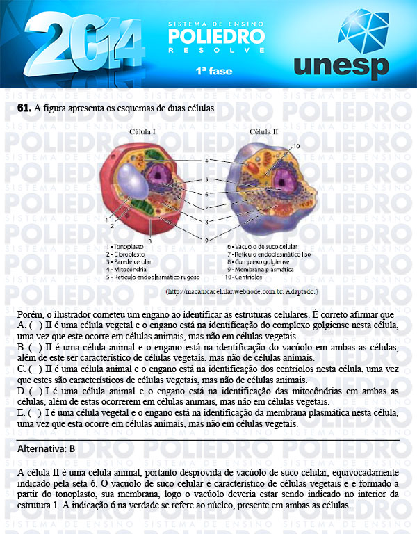 Questão 61 - 1ª Fase - UNESP 2014