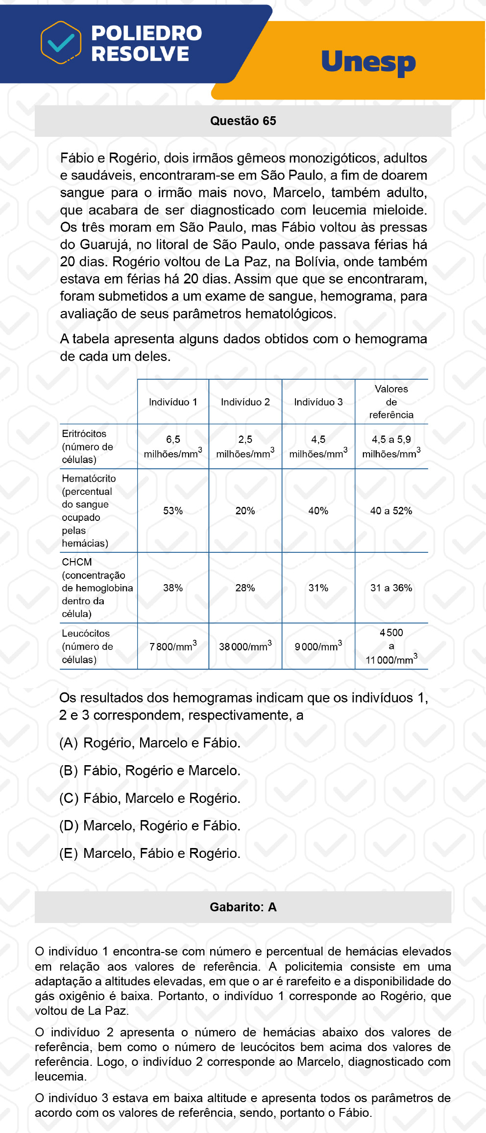 Questão 65 - 1ª Fase - UNESP 2023