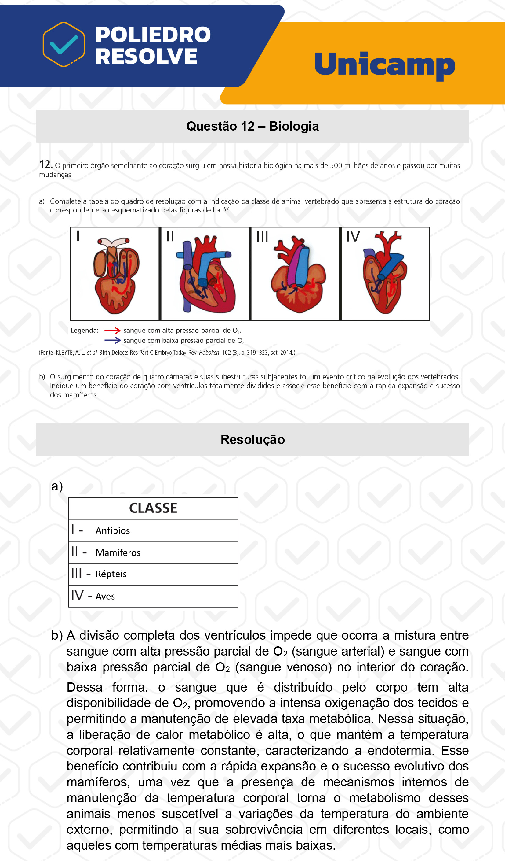 Dissertação 12 - 2ª Fase - 2º Dia - UNICAMP 2023