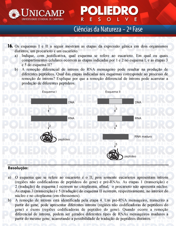 Dissertação 16 - 2ª Fase - UNICAMP 2012