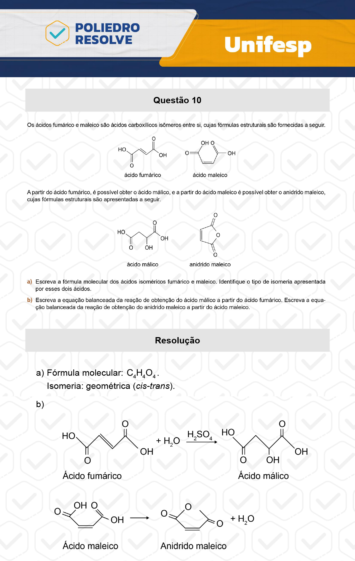 Dissertação 10 - 2º Dia - UNIFESP 2024