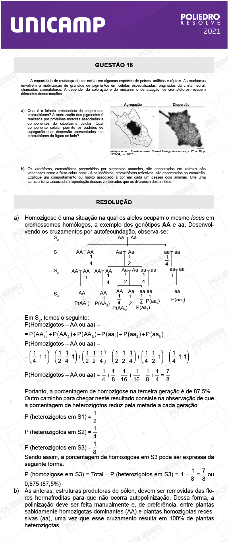 Dissertação 16 - 2ª Fase - 2º Dia - UNICAMP 2021