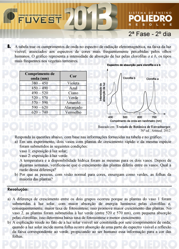 Dissertação 8 - 2ª Fase 2º Dia - FUVEST 2013