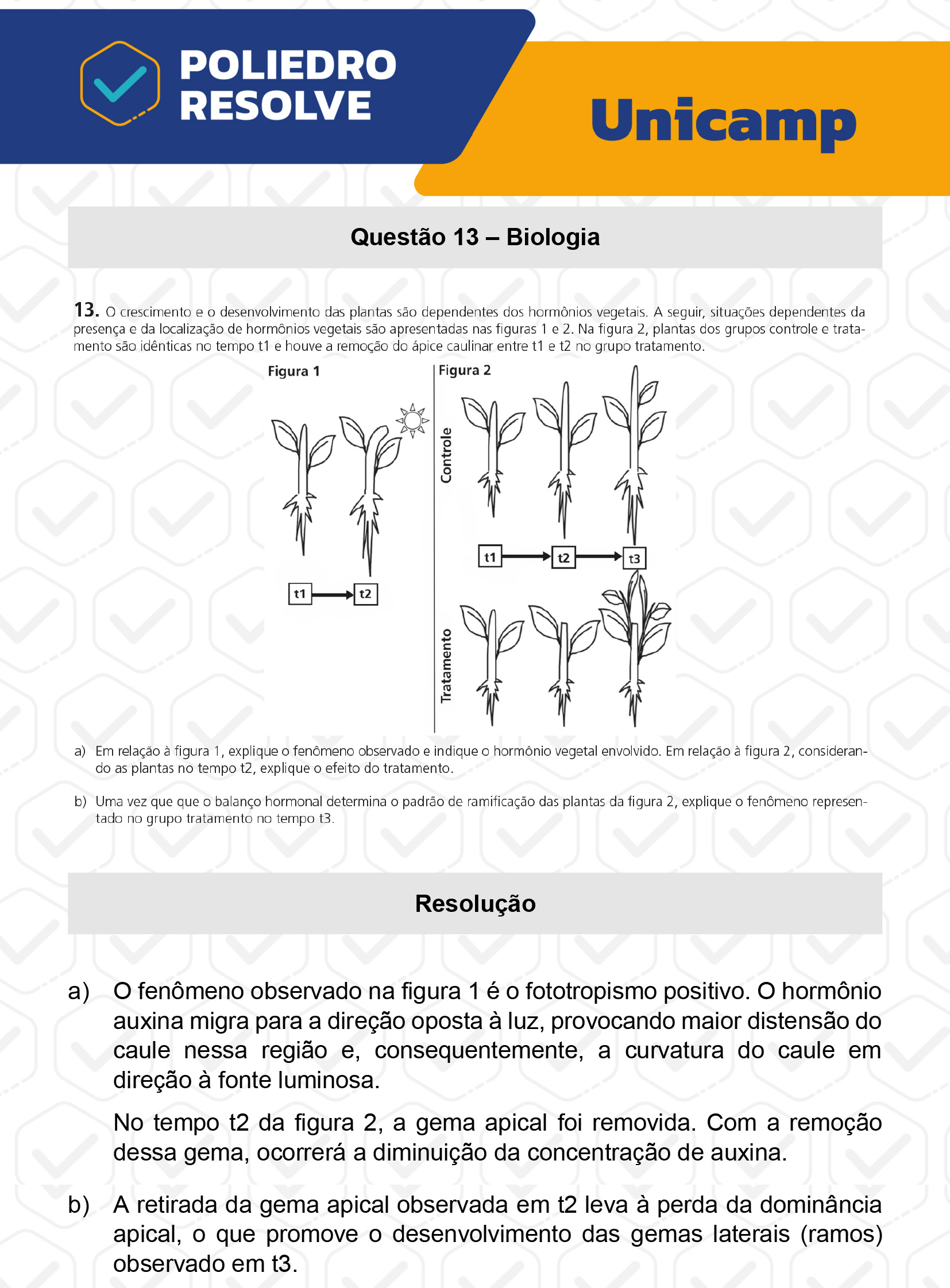 Dissertação 13 - 2ª Fase - 2º Dia - UNICAMP 2023