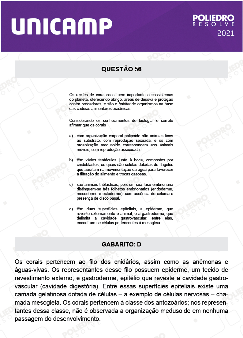 Questão 56 - 1ª Fase - 1º Dia - E e G - UNICAMP 2021