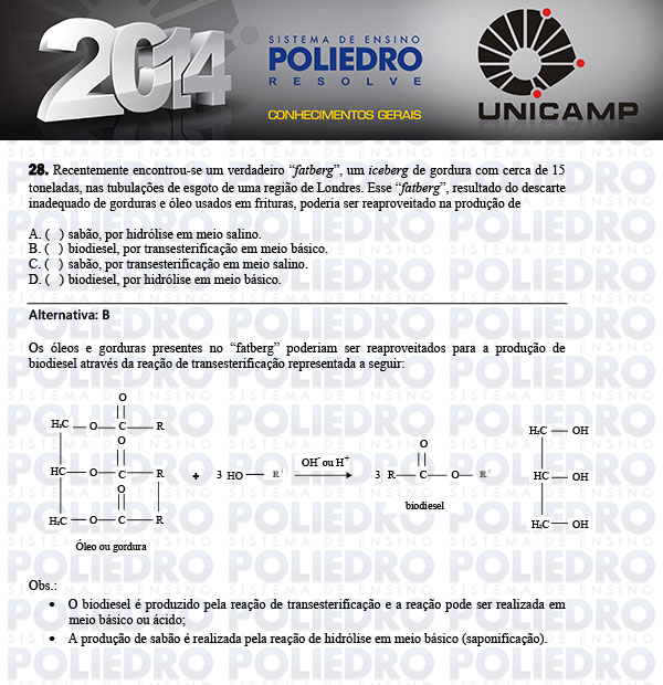 Questão 28 - 1ª Fase - UNICAMP 2014