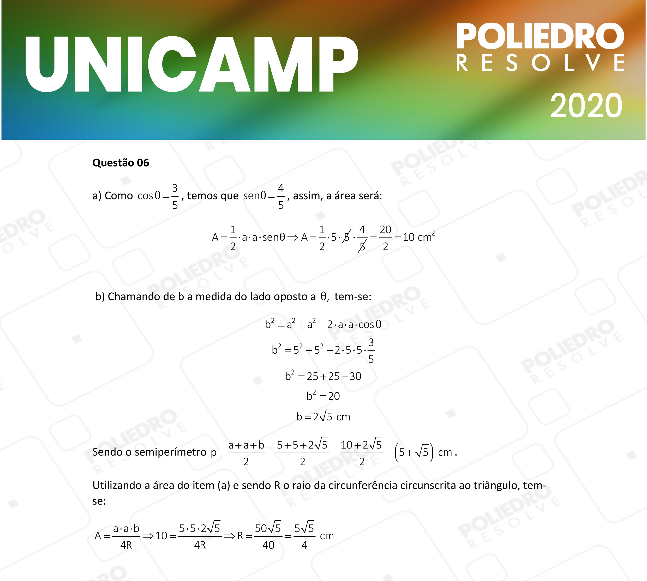 Dissertação 6 - 2ª Fase - 2º Dia - UNICAMP 2020