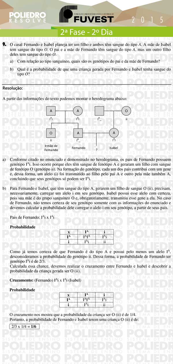 Dissertação 9 - 2ª Fase 2º Dia - FUVEST 2015