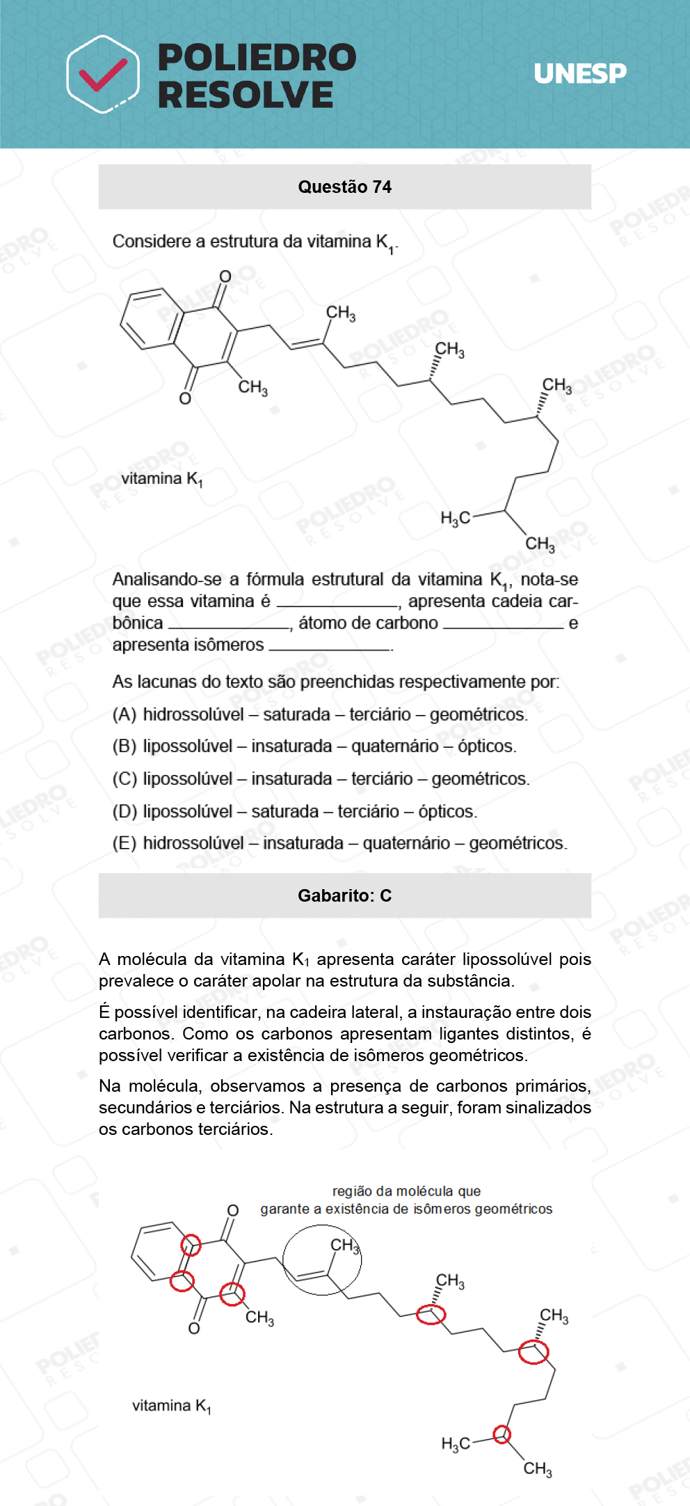 Questão 74 - 1ª Fase - Biológicas - UNESP 2022