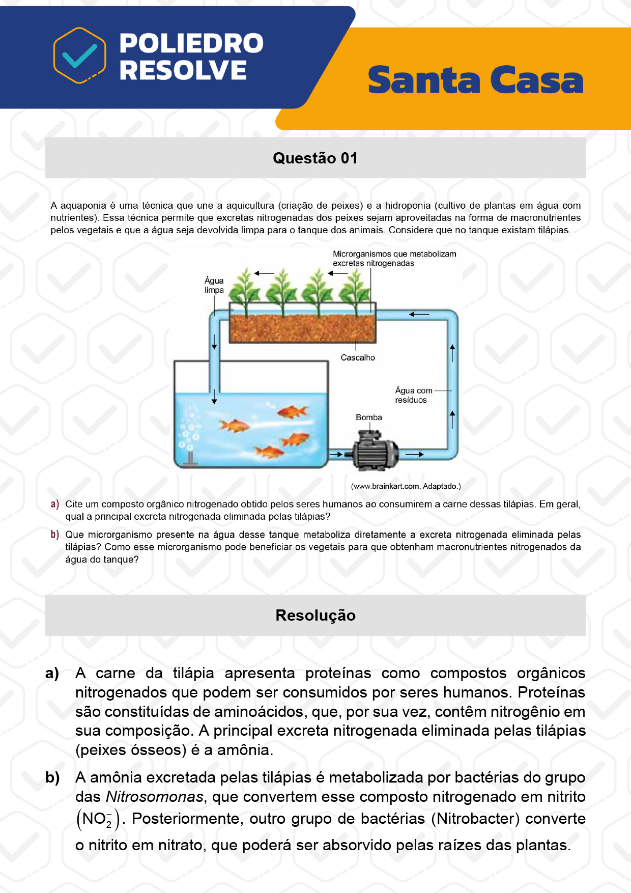 Dissertação 1 - 2º Dia - SANTA CASA 2023