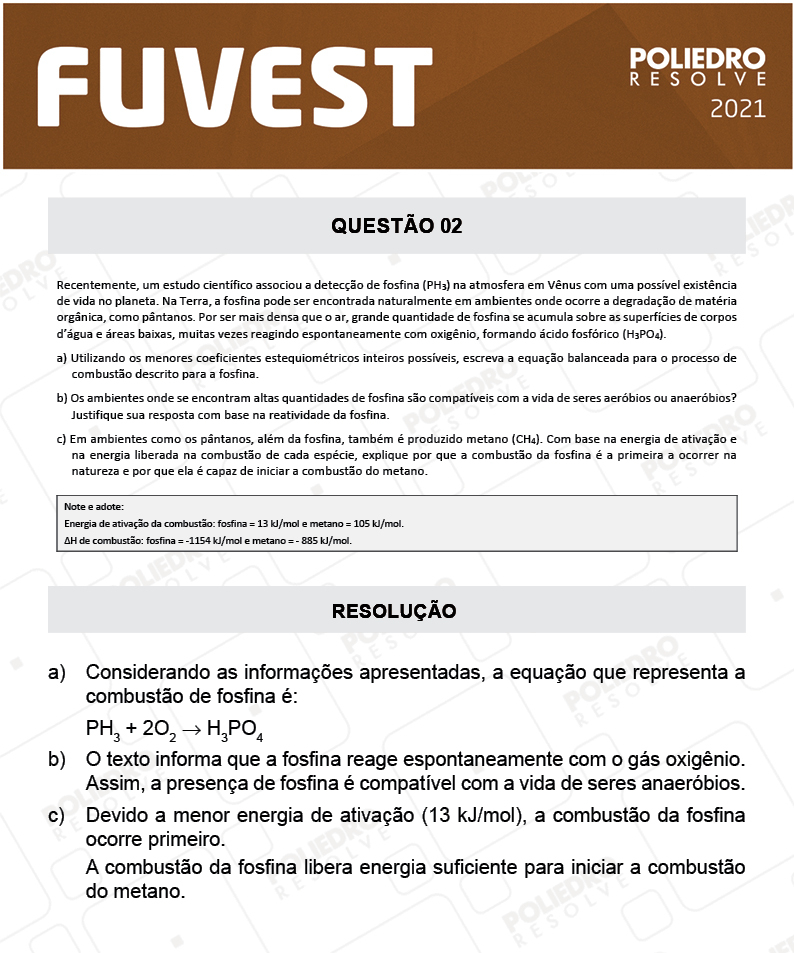 Dissertação 2 - 2ª Fase - 2º Dia - FUVEST 2021