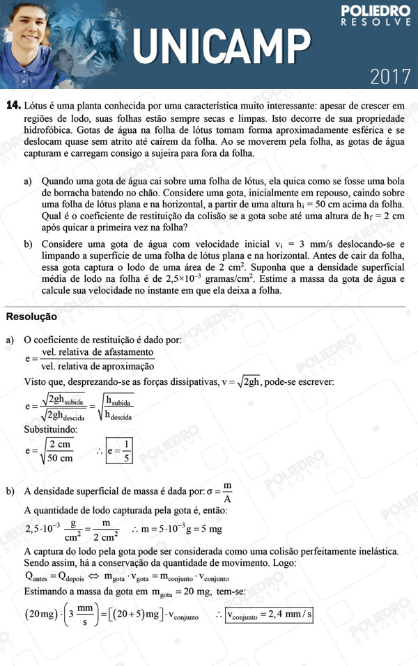 Dissertação 14 - 2ª Fase 3º DIA - UNICAMP 2017