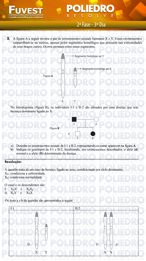 Dissertação 3 - 2ª Fase 3º Dia - FUVEST 2012