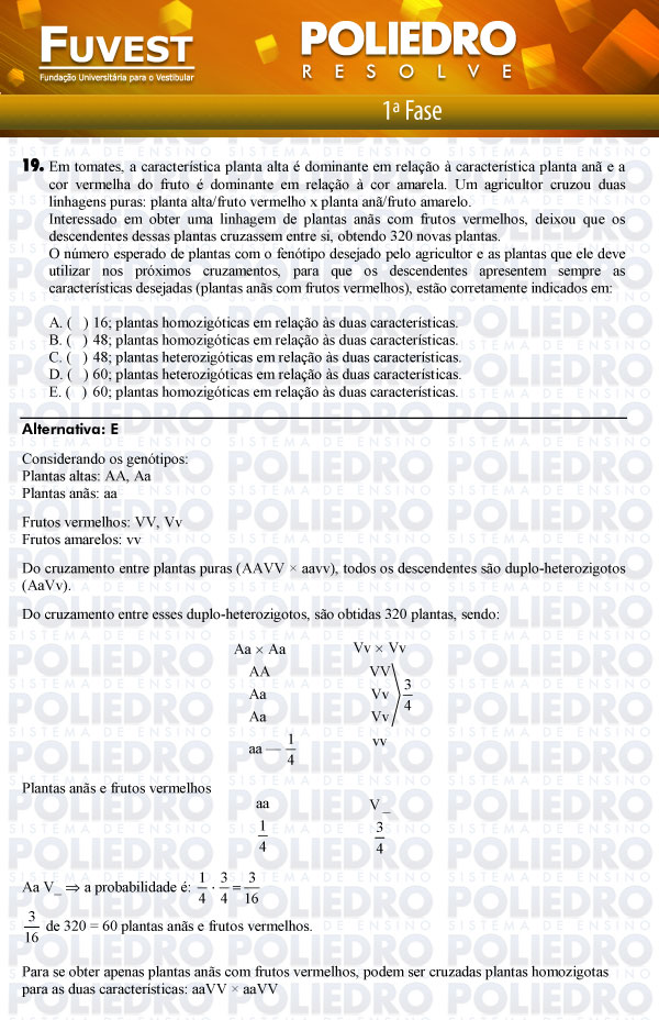 Questão 19 - 1ª Fase - FUVEST 2012