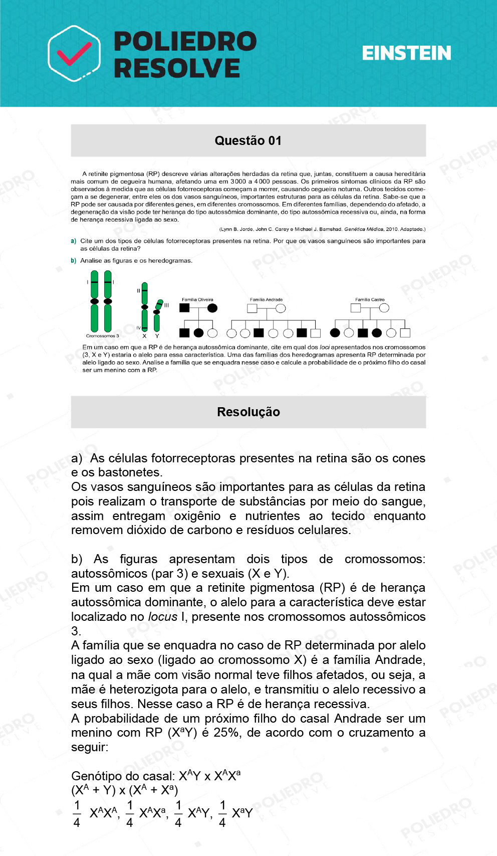 Dissertação 1 - Fase única - EINSTEIN 2022