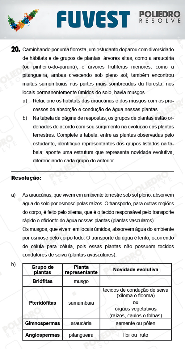 Dissertação 2 - 2ª Fase - 3º Dia - FUVEST 2018